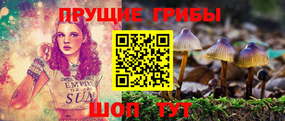Псилоцибиновые грибы MAGIC MUSHROOMS Стрежевой